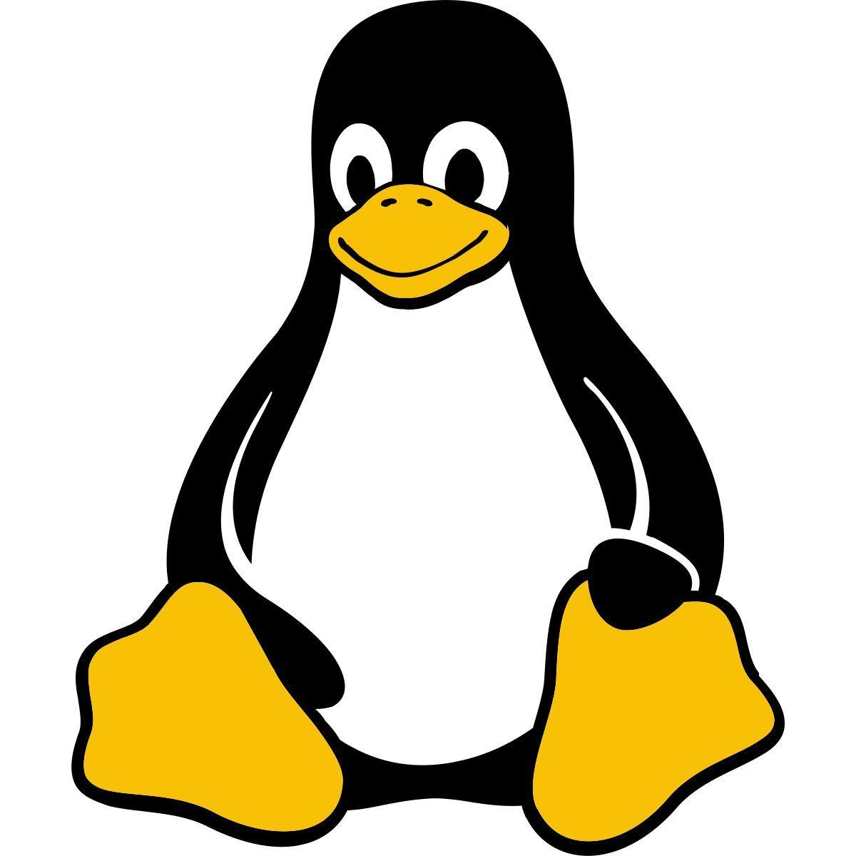 Linux dan Administrasi Server: dari klik di layar sampai ruang mesin